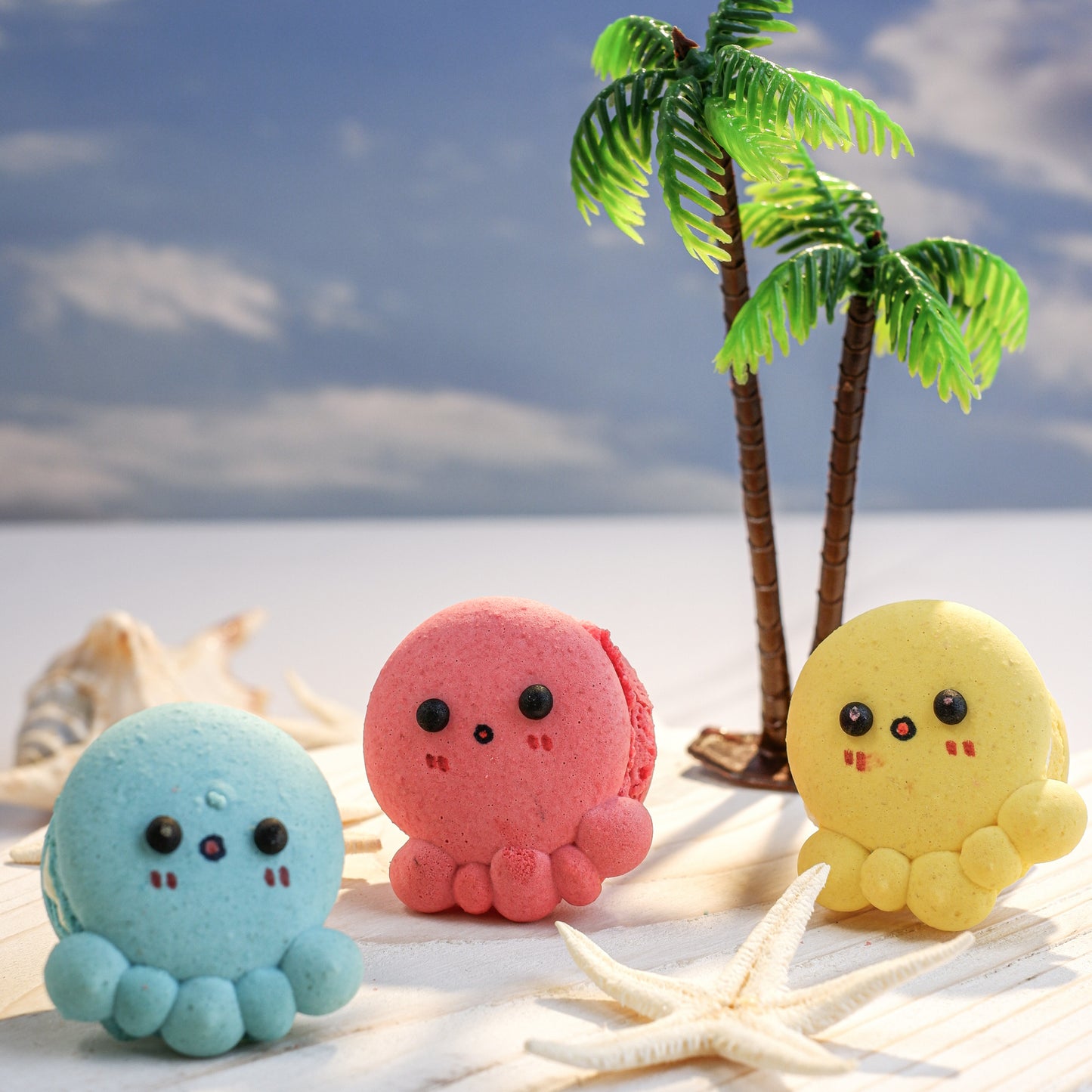 3PCS Octopi Macarons in Gift Box | Special Price Rp48.000